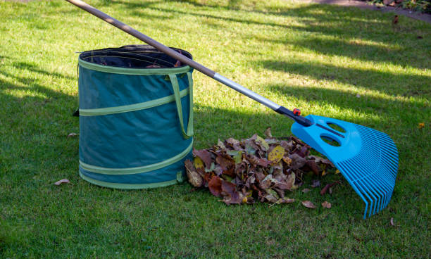 Can Wet Leaves be Safely Mowed?