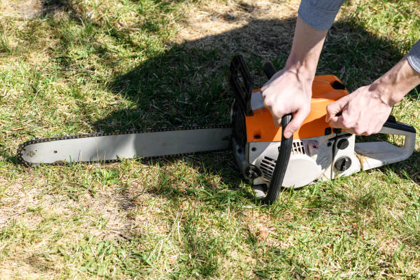 Use Chainsaw Electric Start