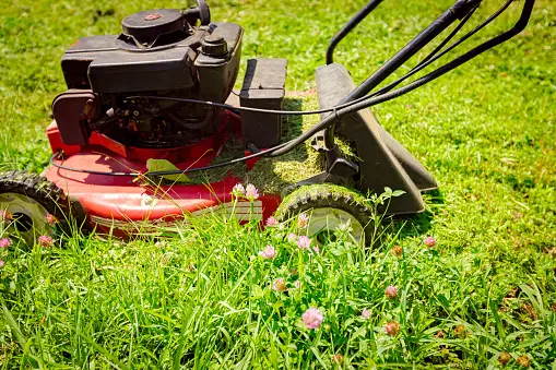 Stuck Pull Cord Lawn Mower