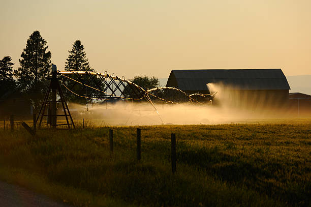 Sun Joe Power Washing