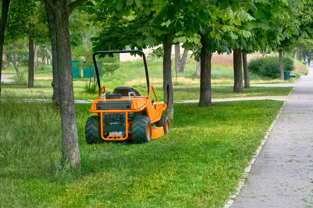 track lawn mower