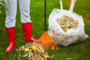 Can Wet Leaves be Safely Mowed?