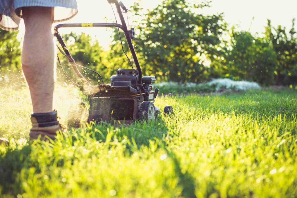 How to Start a Craftsman Riding Lawn Mower