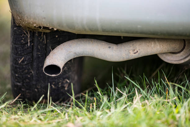 Close-up of Exhaust Pipe of a Car on Meadow.