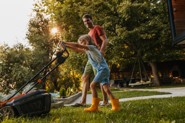 Maintenance tips of ryobi lawn mower