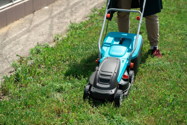 How Can Mowing the Lawn Cause a Miscarriage?