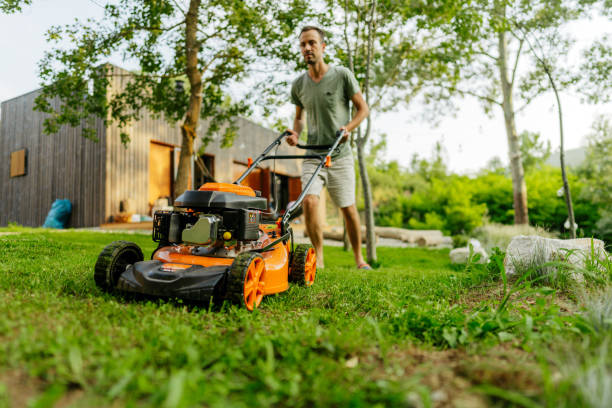 Troubleshoots of Ryobi Lawn Mower