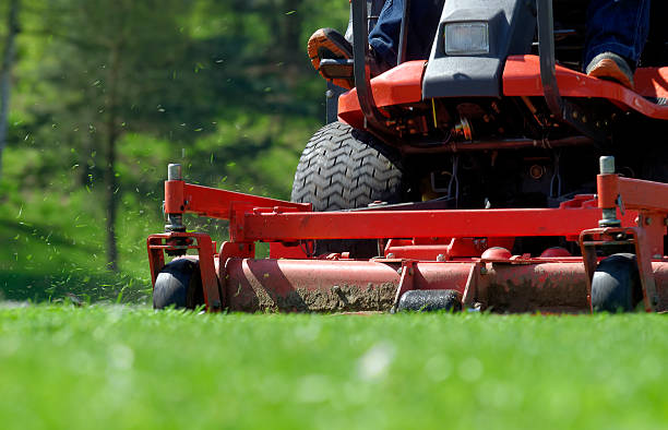 Lawnmower Won't Turn Over