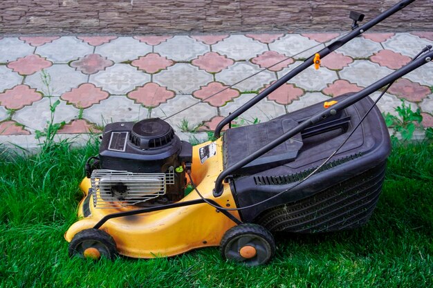 man is working garden mowing grass with lawn mower 221439 294