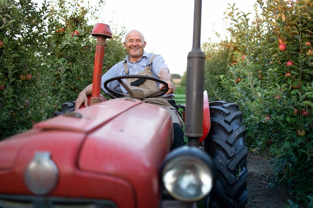 portrait senior man farmer driving his old retro styled tractor machine through apple fruit orchard 342744 1010