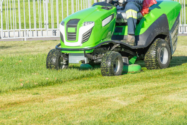 Best Riding Lawn Mowers